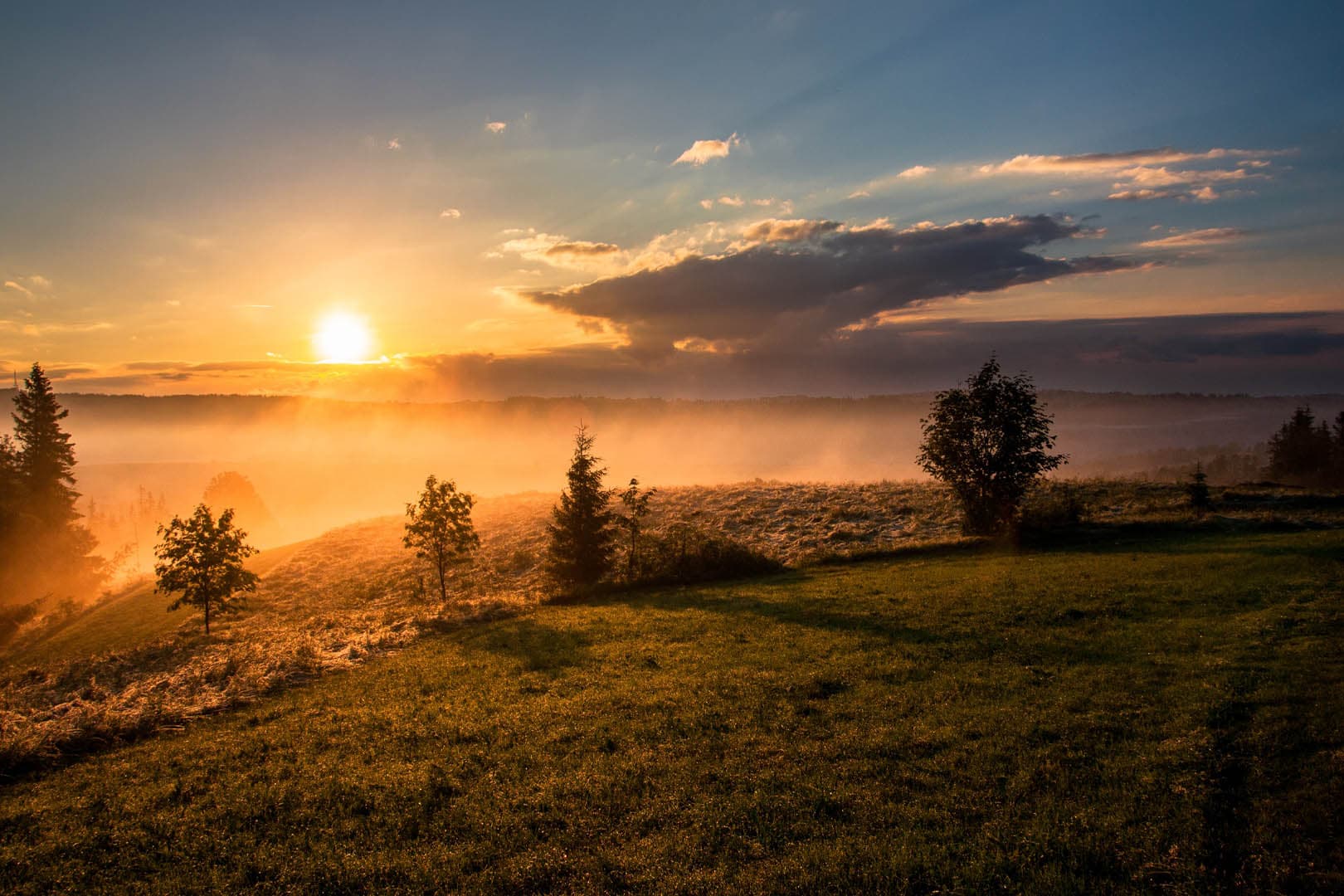 98. How does the body produce energy & how are we affected by different kinds of light?