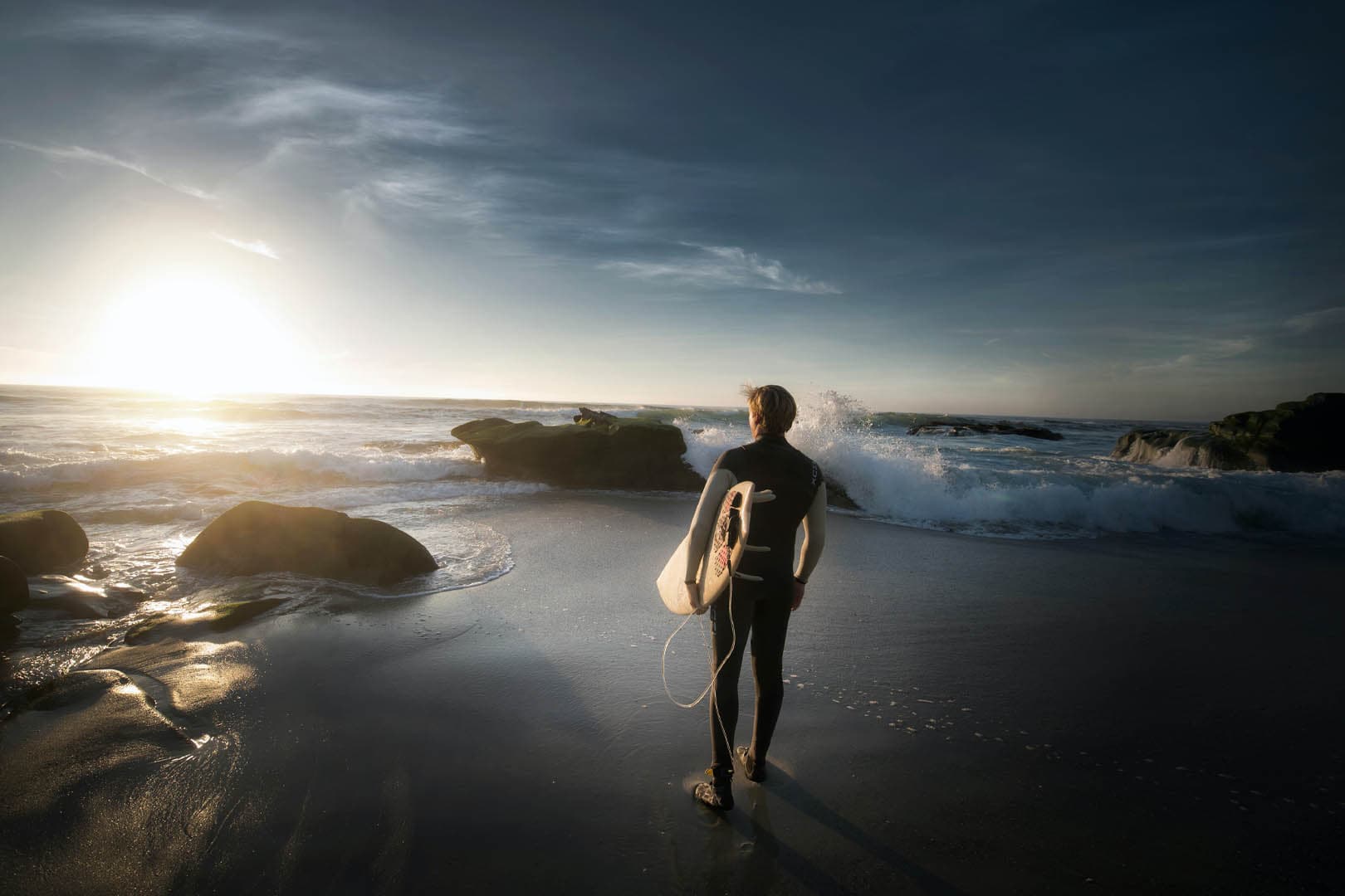 111. What is a muscle, what is an organ & what is the living wetsuit?