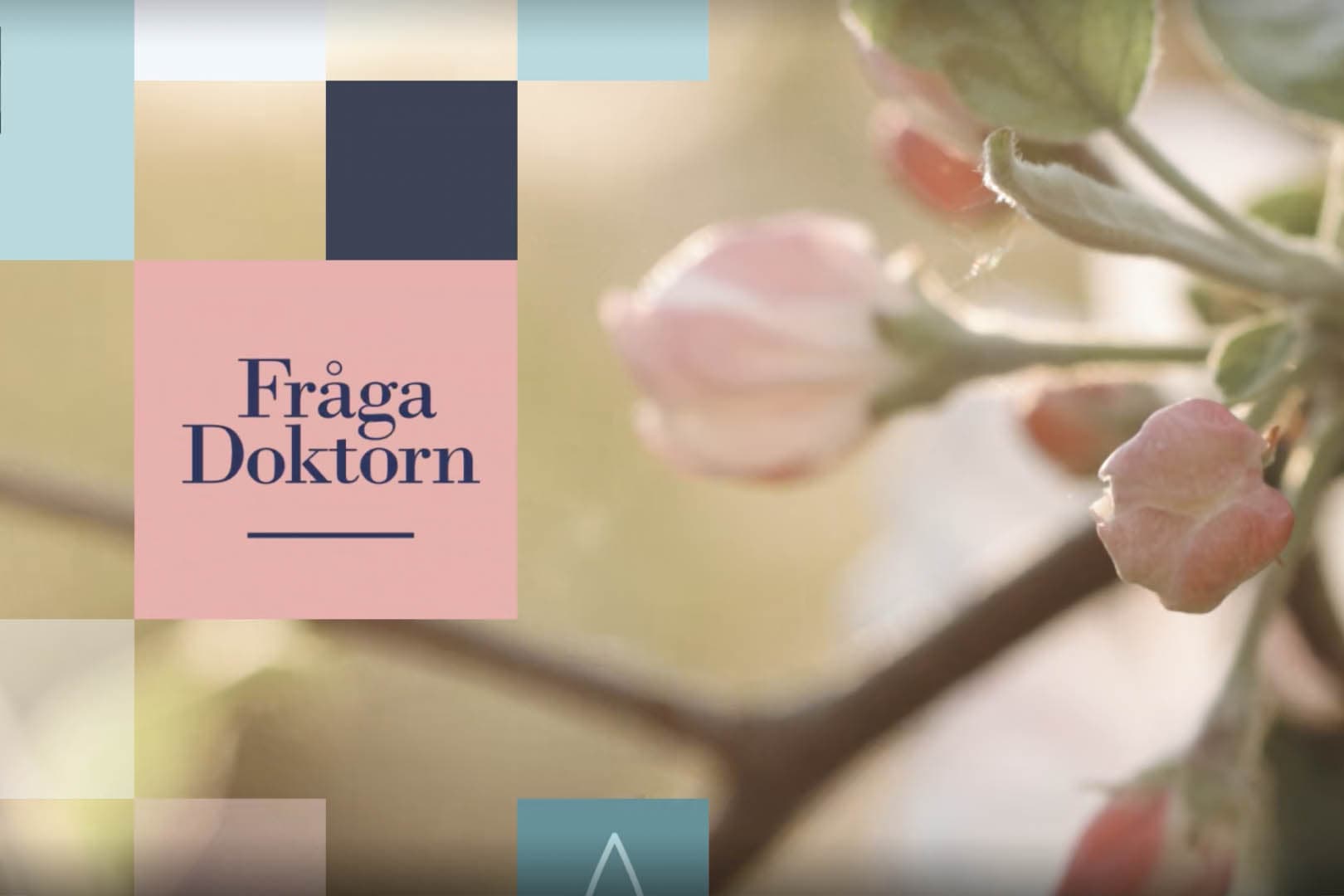 Ask the Doctor on SVT talks about fascia