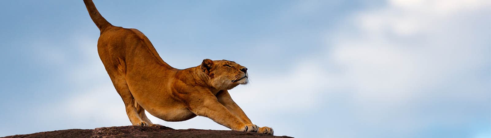 Stretching the fascia is vital when recovering from injury