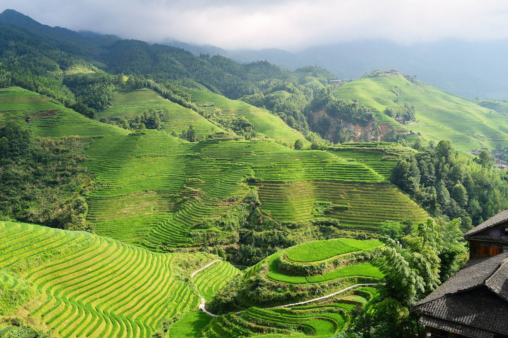 095 podcast cover – traditional china