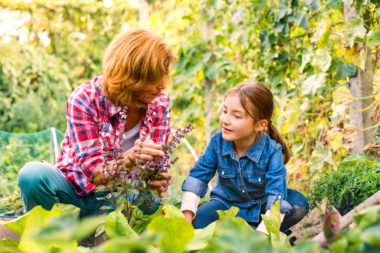 139 fascia guide cover – växthus