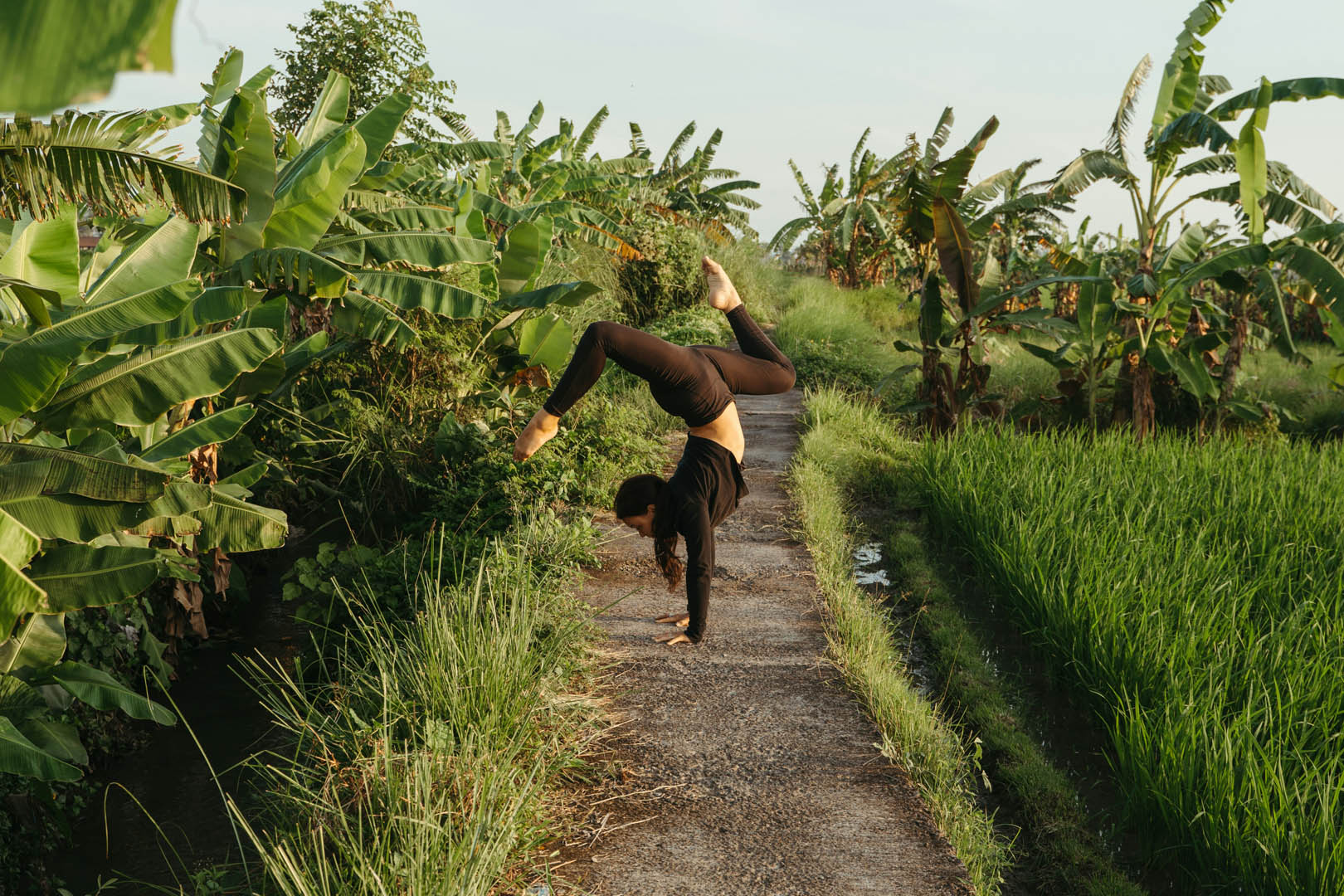 147 fascia guide – what is a body