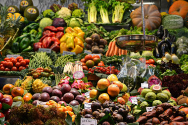 157 fascia guide cover – nutrition