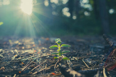 159 podcast cover – life