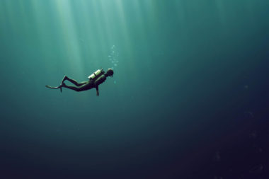 005 fasica guide cover – dive deeper into fascia insights & discoveries