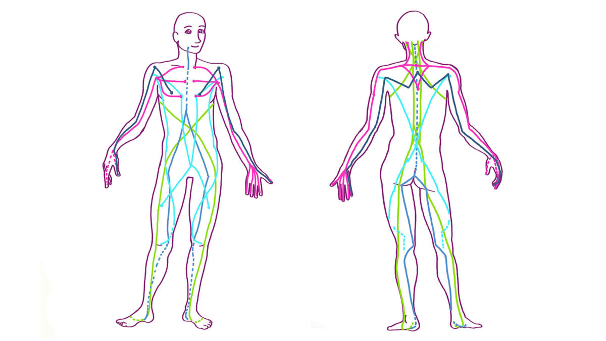 Fascialinjer är det som sammanlänkar hela kroppen - The Fascia Guide